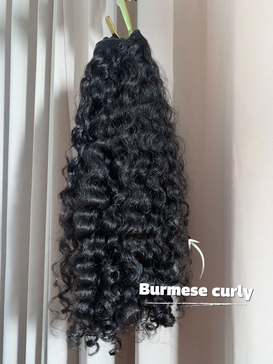 Meet the Burmese Curly: Your New Favorite Texture
