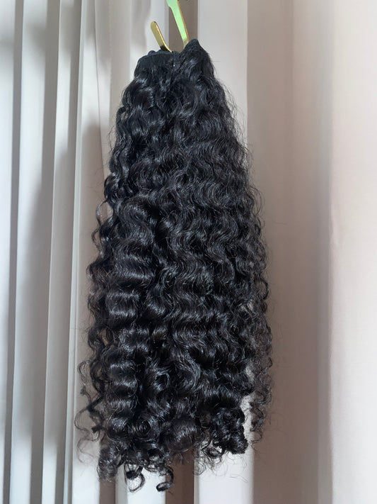 Burmese Curly